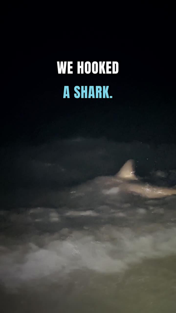 Chet and Dane hooking a shark on the beach at night
